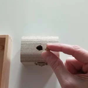 Atelier DUO Parent-enfant 2-3 ans